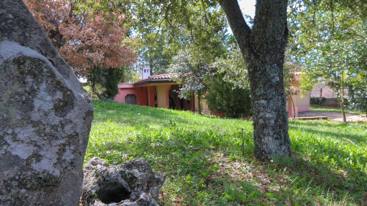 Vila Welcomely - Country House Perda E Testa Mamoiada Exteriér fotografie